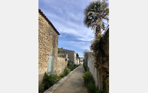 blablarun du 8 février